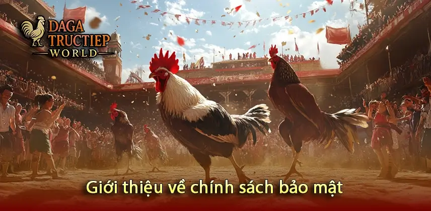Giới thiệu về chính sách bảo mật