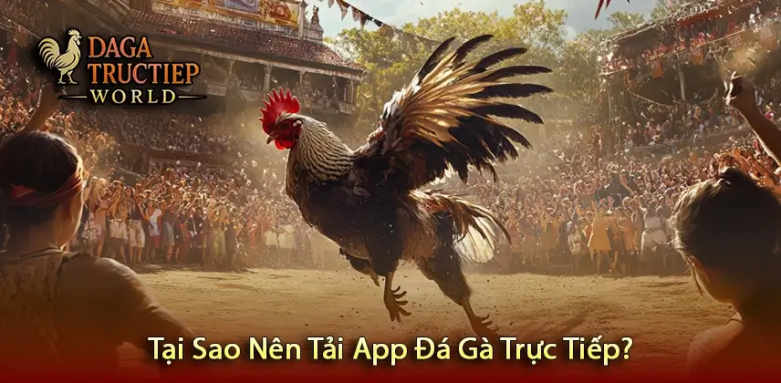 Tại Sao Nên Tải App Đá Gà Trực Tiếp