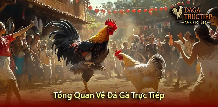 Tổng Quan Về Đá Gà Trực Tiếp