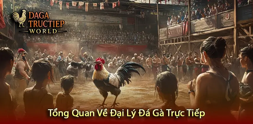 Tổng Quan Về Đại Lý Đá Gà Trực Tiếp
